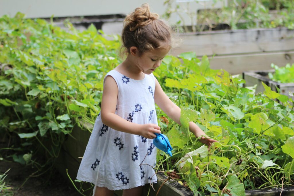 A young girl tending to plants in a summer garden, capturing joy and nature. gardening project